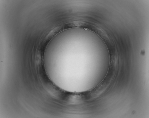 X0000090990220200708161924