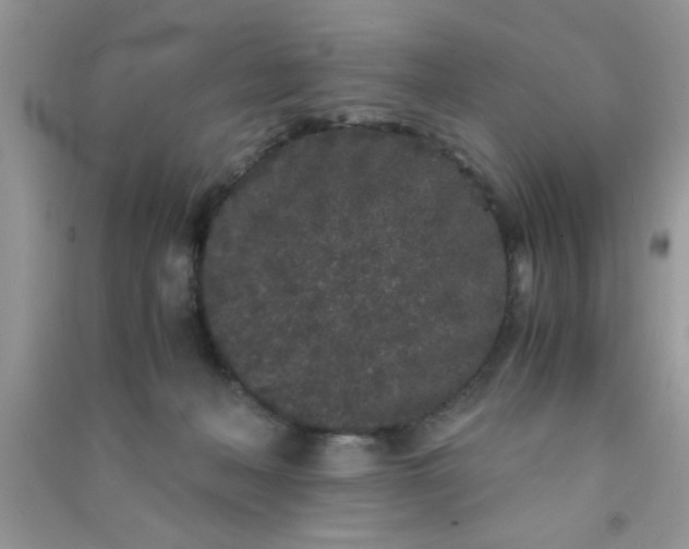 X0000090990222200708161924