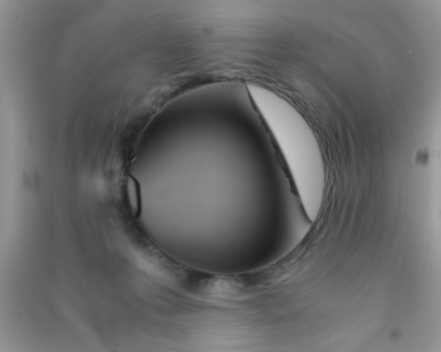 X0000090990223200708161924