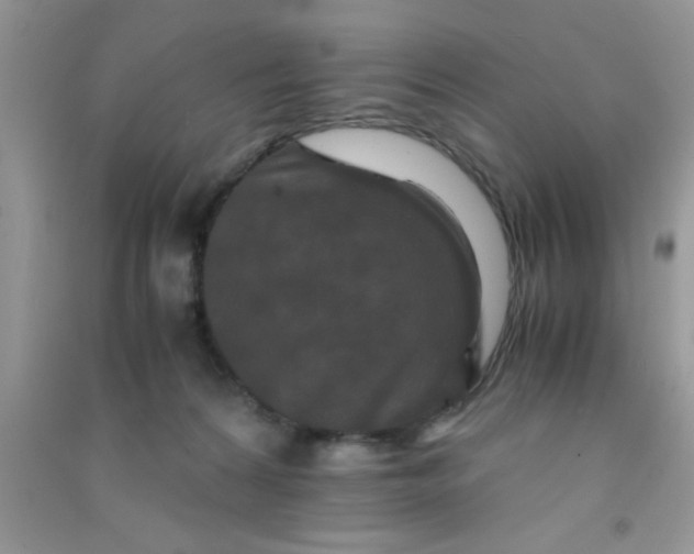 X0000090990224200708161923