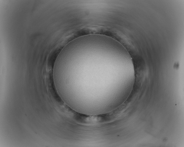 X0000090990225200708161923