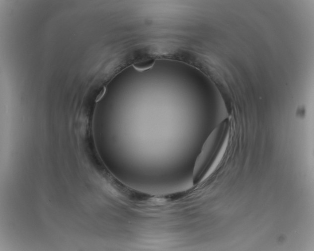 X0000090990227200708161923