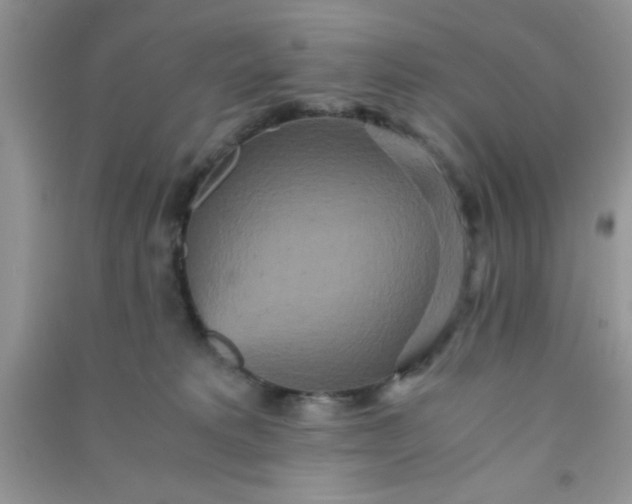 X0000090990229200708161923