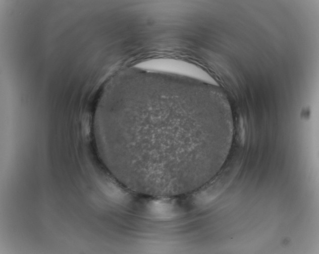 X0000090990232200708161923