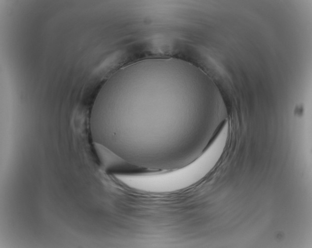 X0000090990233200708161923