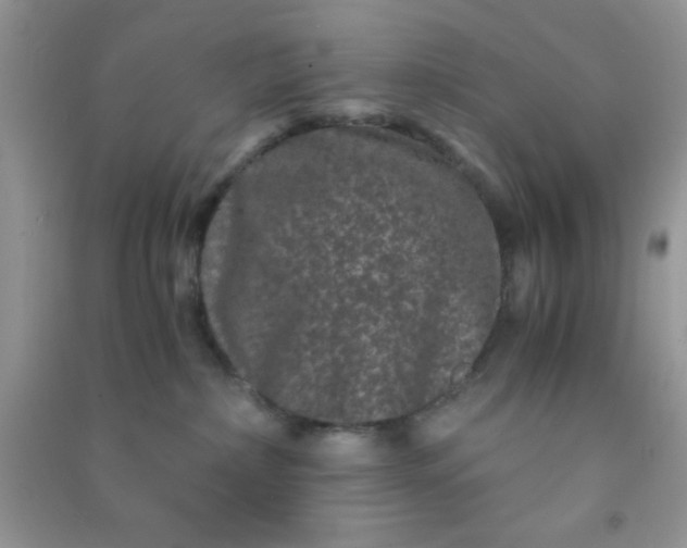 X0000090990236200708161923