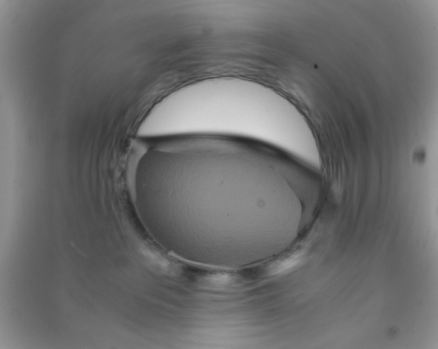 X0000090990237200708161923