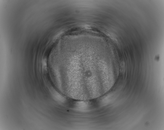 X0000090990238200708161923