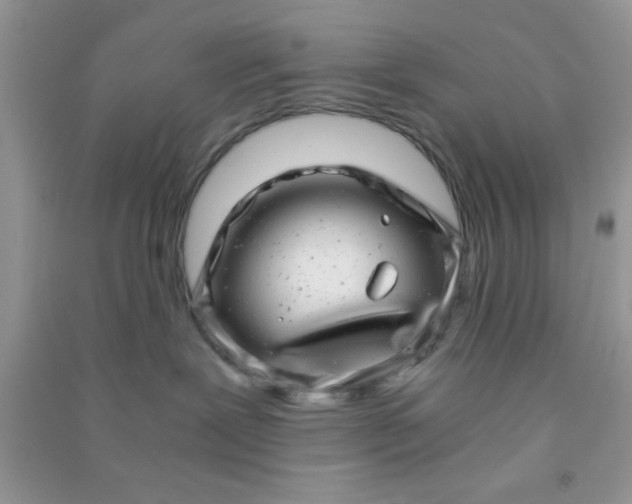 X0000090990239200708161923