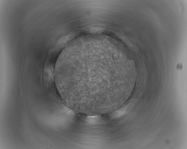 X0000090990240200708161923