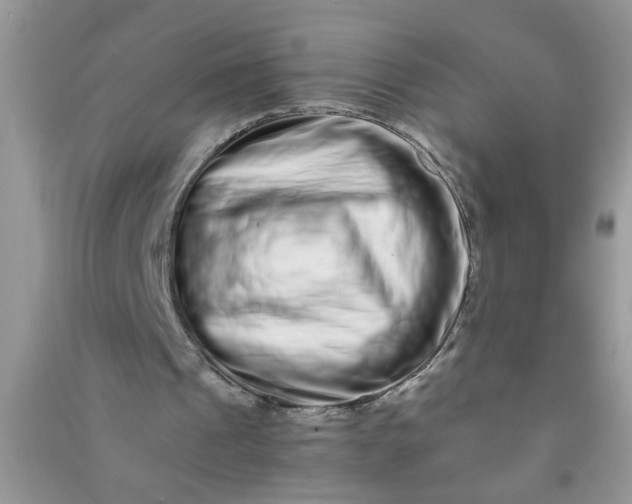 X0000090990241200708161923