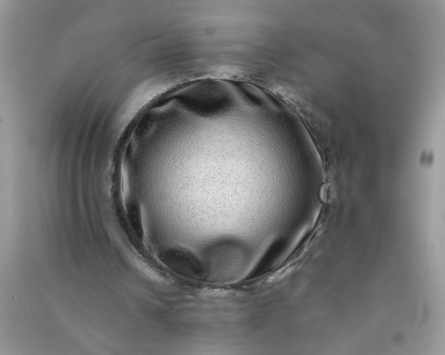 X0000090990242200708161923