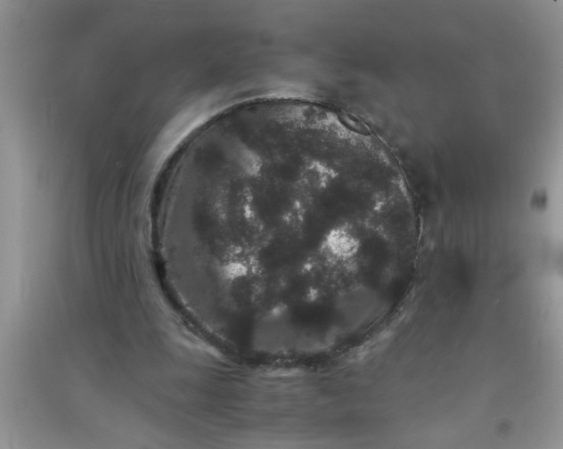 X0000090990247200708161923