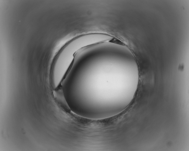 X0000090990248200708161923