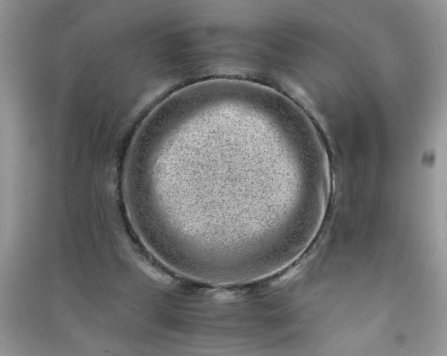 X0000090990249200708161923