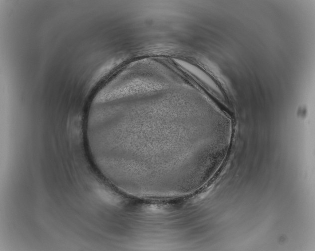 X0000090990250200708161923