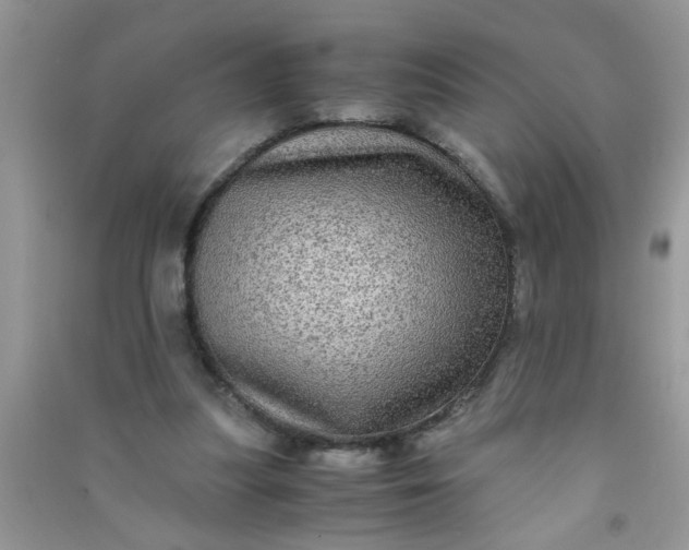 X0000090990251200708161923