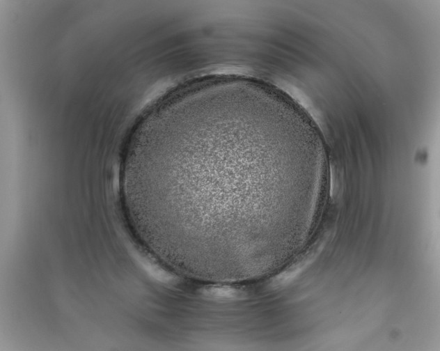 X0000090990253200708161923