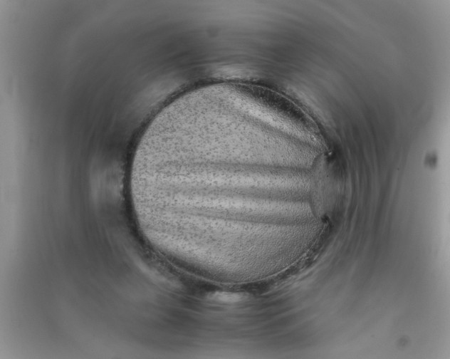 X0000090990255200708161923