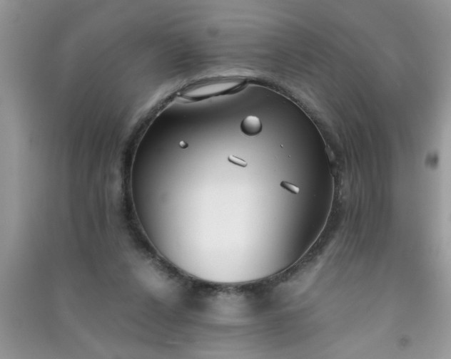 X0000090990256200708161923