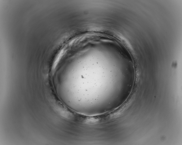 X0000090990257200708161923