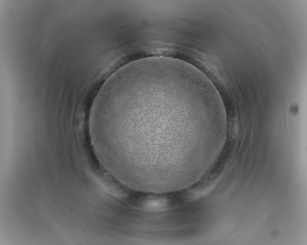 X0000090990263200708161923