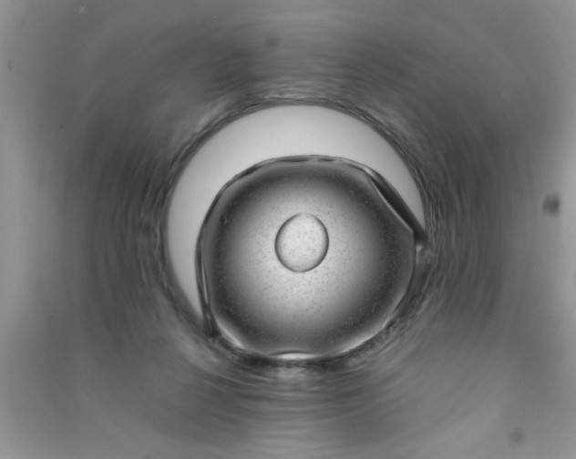 X0000090990264200708161923