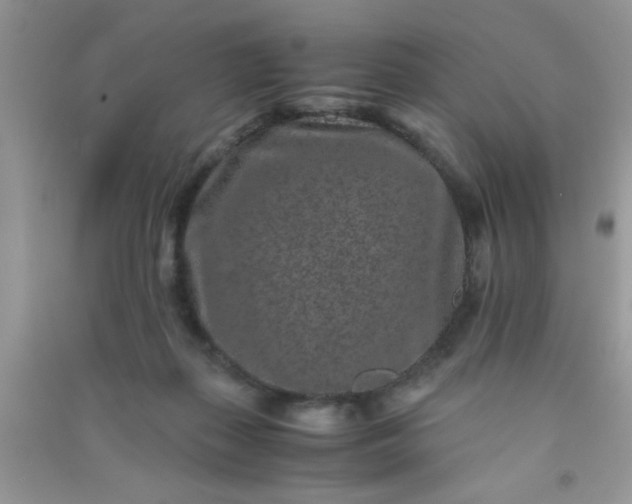 X0000090990267200708161923