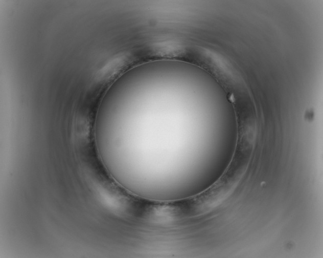 X0000090990268200708161923