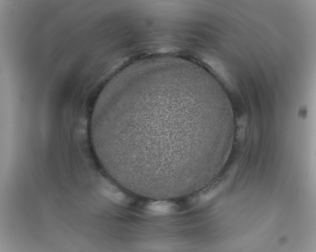 X0000090990269200708161923