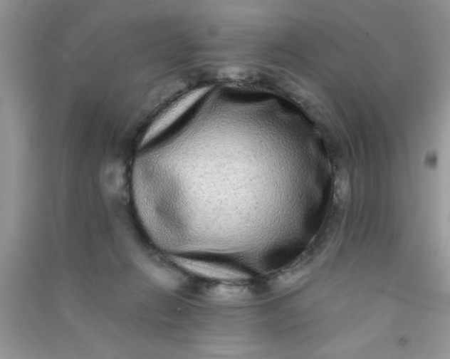 X0000090990270200708161923