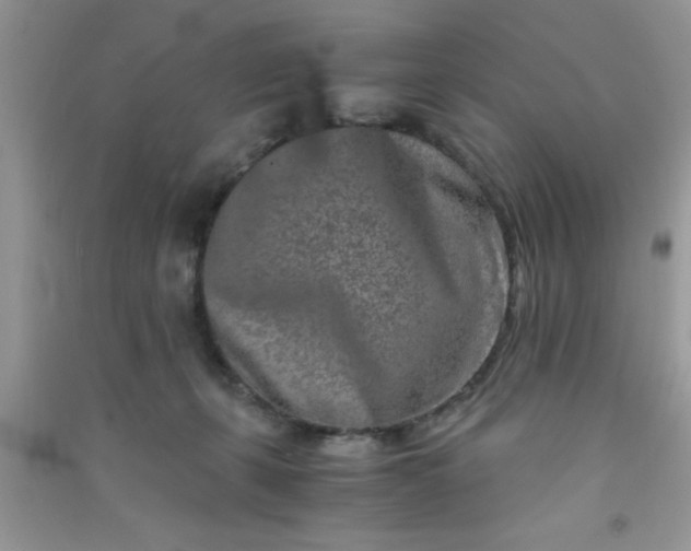 X0000090990271200708161923