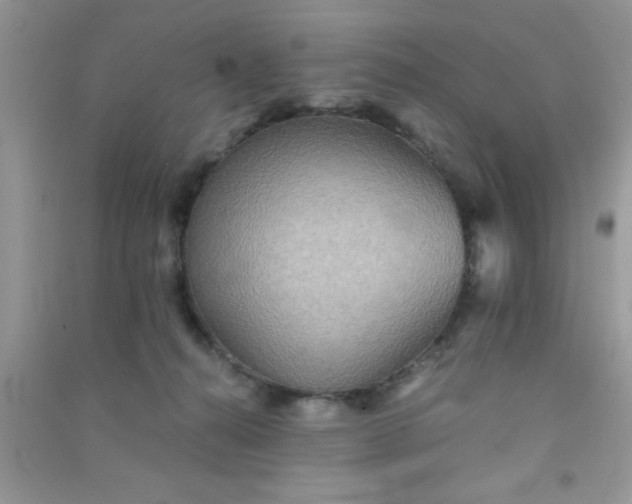 X0000090990272200708161923