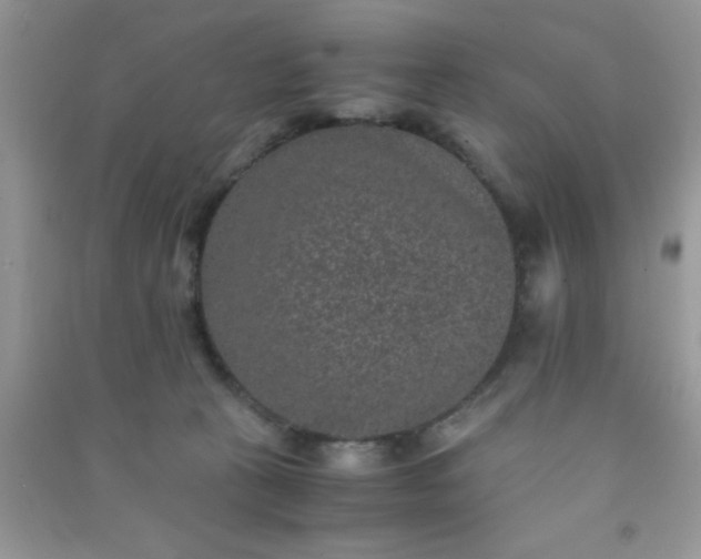 X0000090990273200708161923