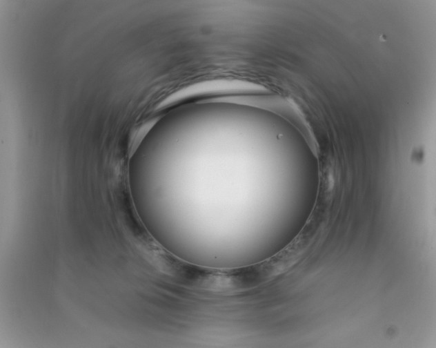 X0000090990276200708161923