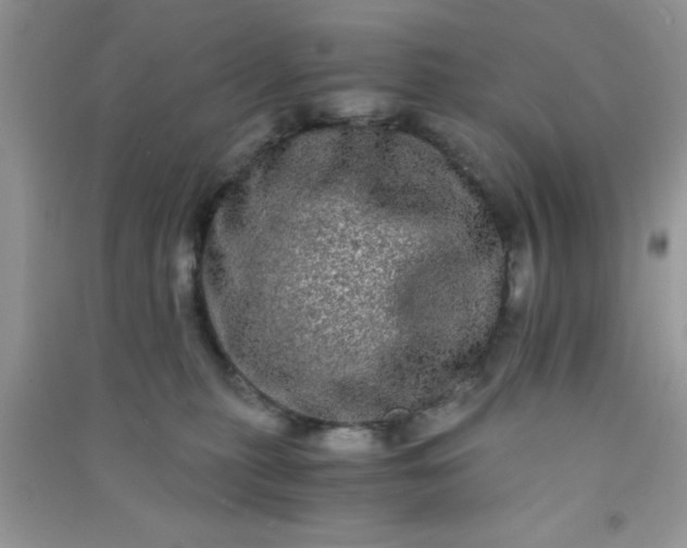 X0000090990279200708161923