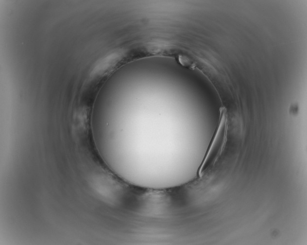 X0000090990280200708161923