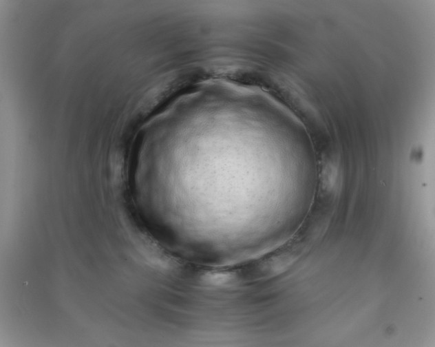 X0000090990283200708161923