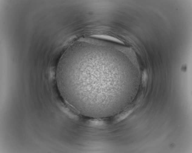 X0000090990284200708161923