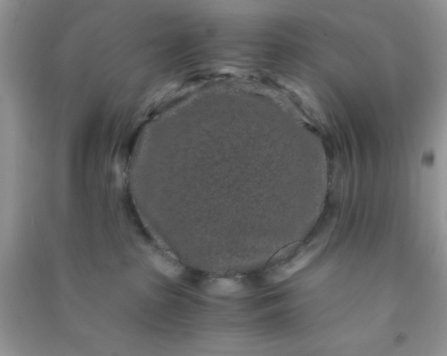 X0000090990285200708161923