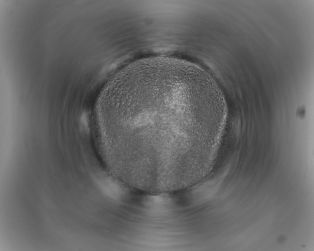 X0000090990286200708161923