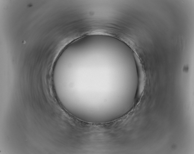 X0000090990289200708161923