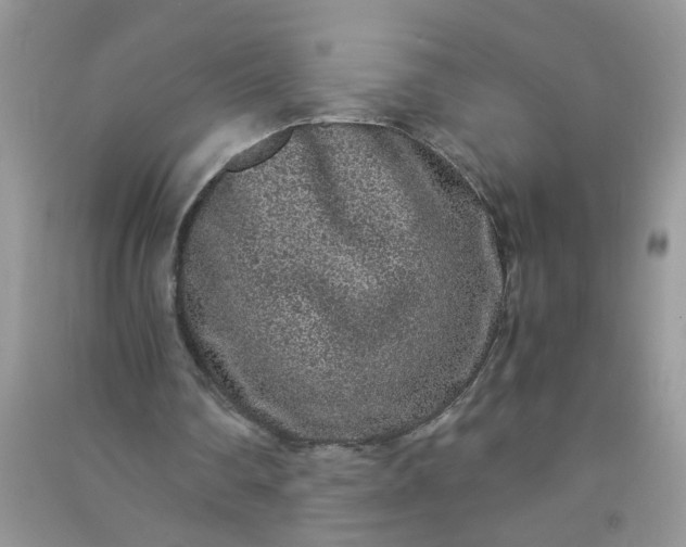 X0000090990290200708161922