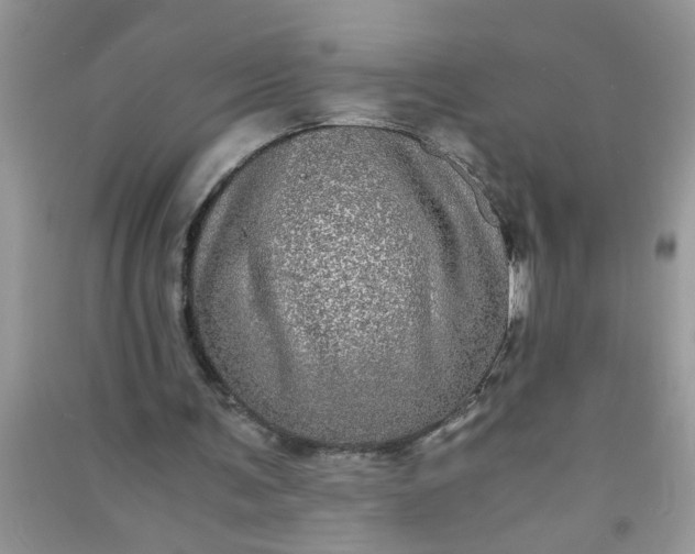 X0000090990291200708161922