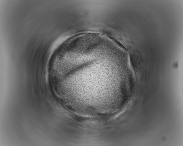 X0000090990294200708161922