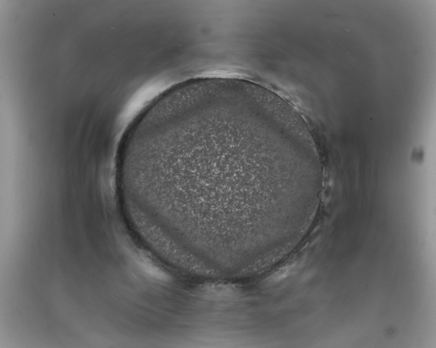 X0000090990296200708161922