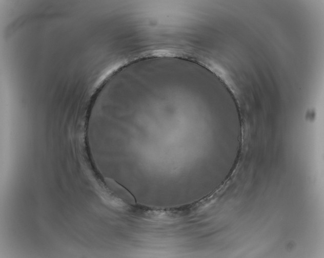 X0000090990297200708161922