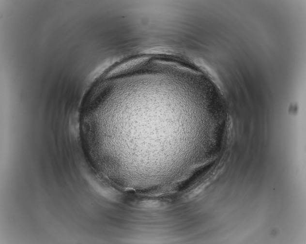 X0000090990298200708161922