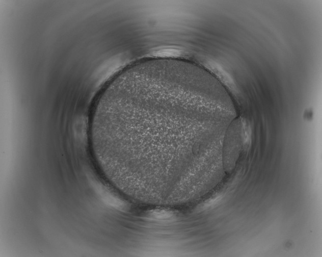 X0000090990300200708161922