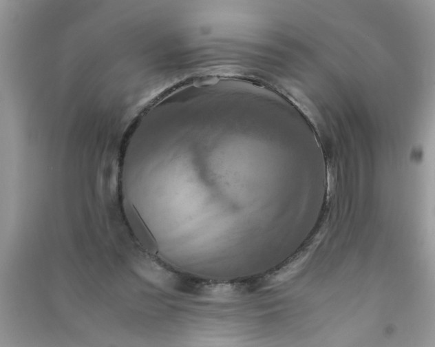 X0000090990301200708161922